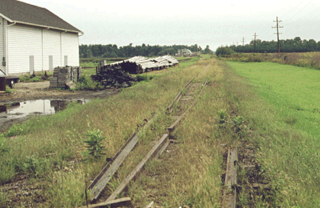 GTW track near Stockbridge